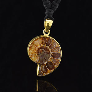 Ammonite Pendant Necklace