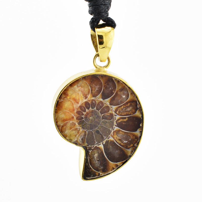Fossilized ammonite pendant with gold rim on a white background