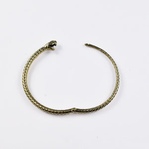 Ouroboros snake earrings