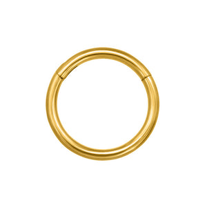 gold plated titanuim nose ring