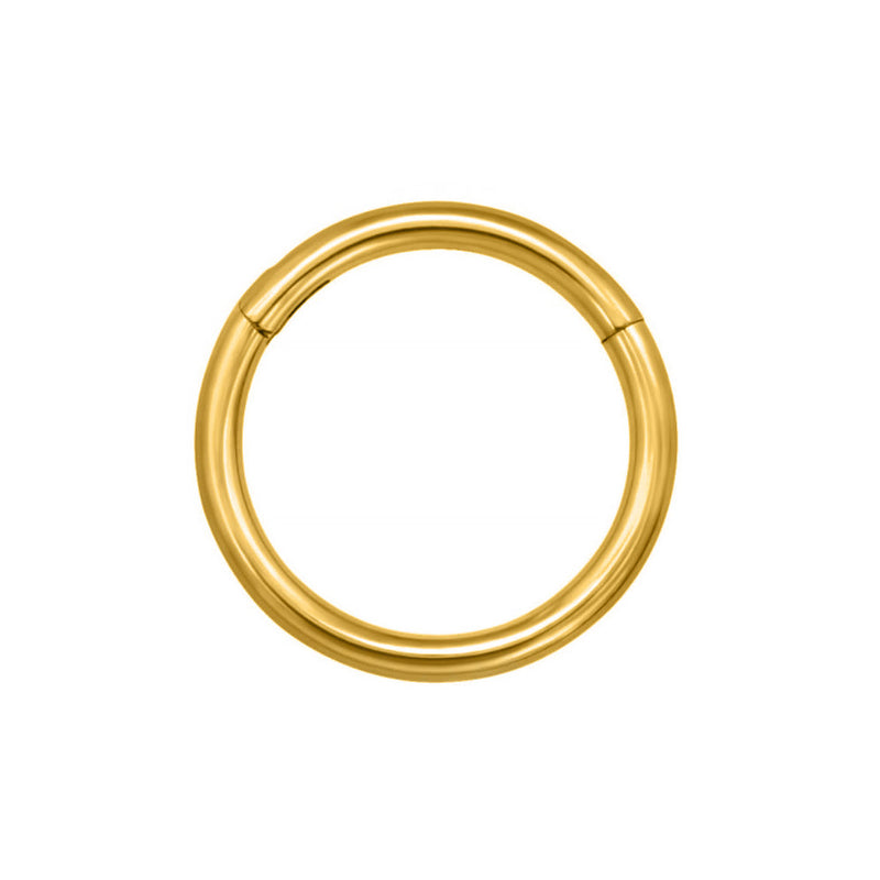 gold plated titanuim nose ring