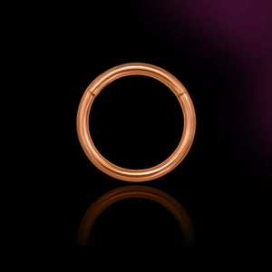 rose gold titanium nose ring hinged segment clicker