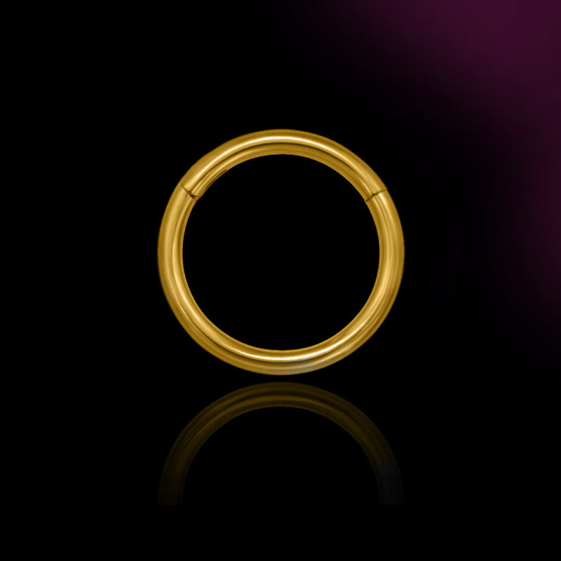 gold plated titanium nose ring, hinged segment clicker