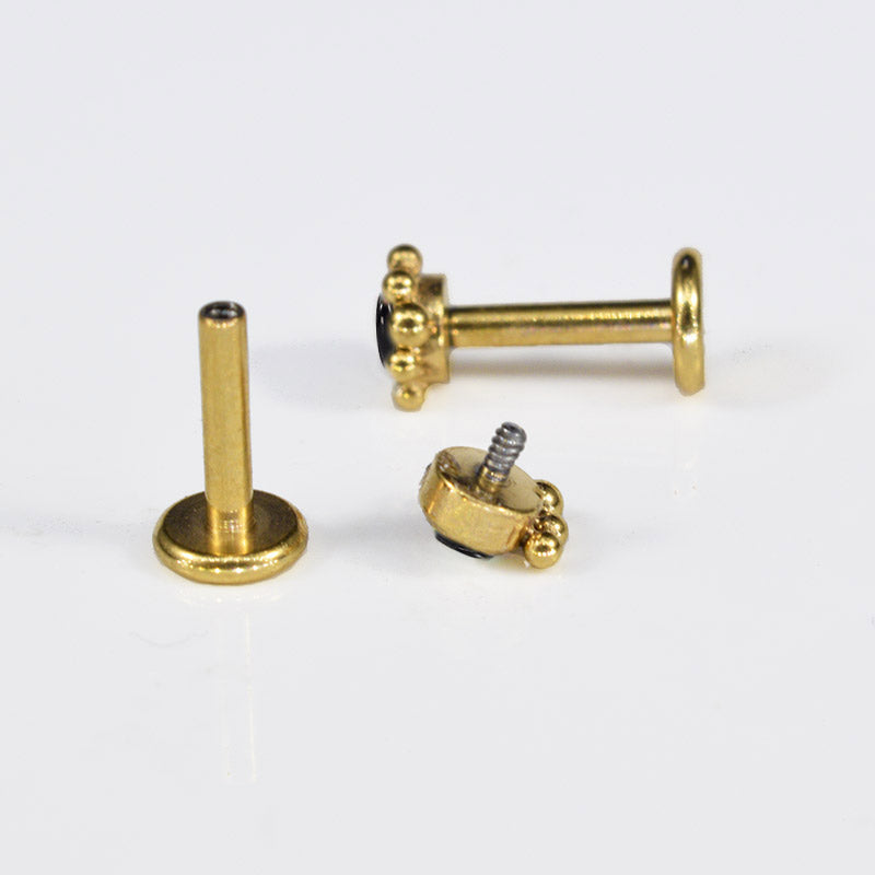 Onyx Labret in Gold with Curve of Dots
