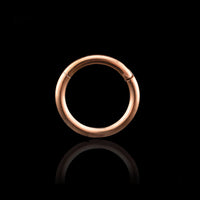 rose gold titanium segment ring 1.6mm
