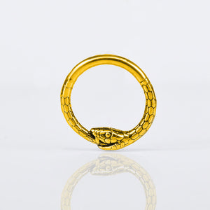 1.2mm x 8mm snake segment clicker ring for piercings in gold steel
