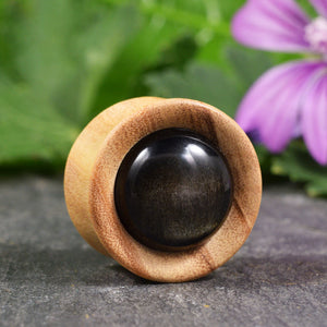 Olive Wood and Gold Obsidian Flesh Plugs 