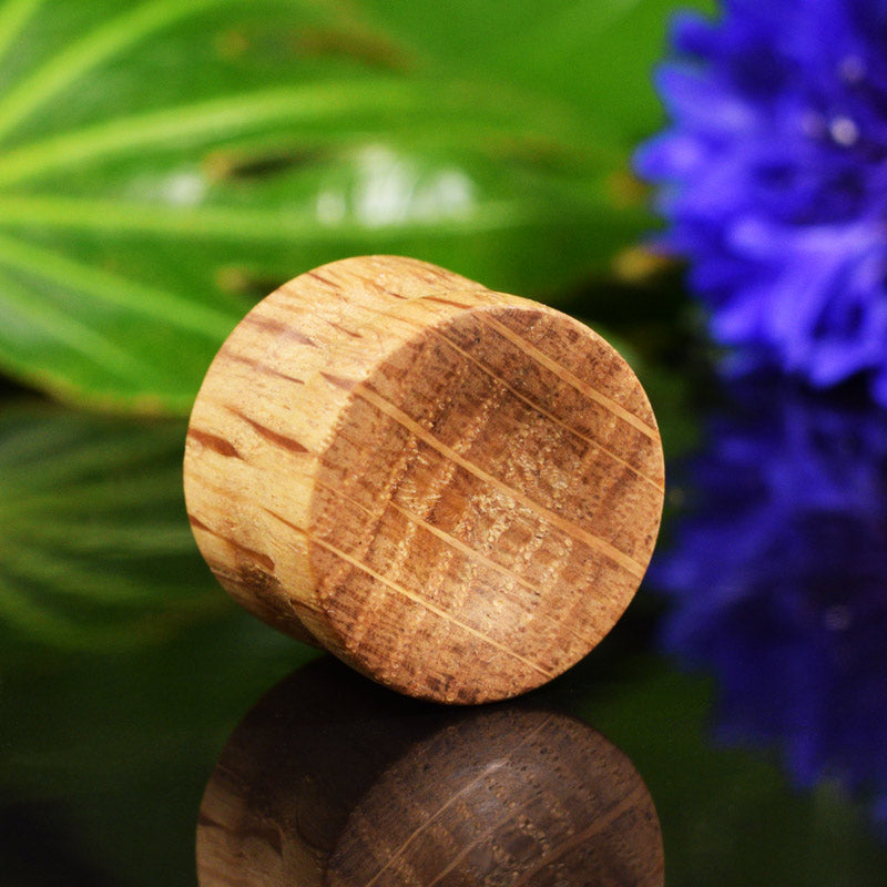 Oak wood flesh plugs